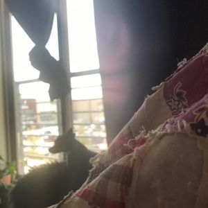 Meet your Posher, April